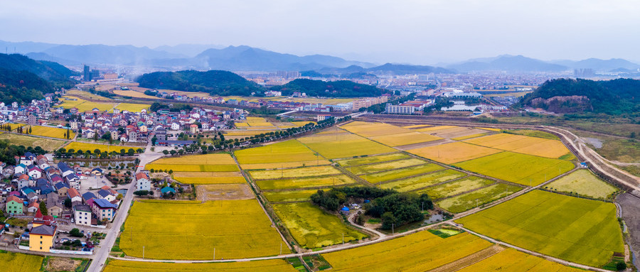 美麗新農(nóng)村建設(shè)